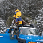 Getting the tree loaded